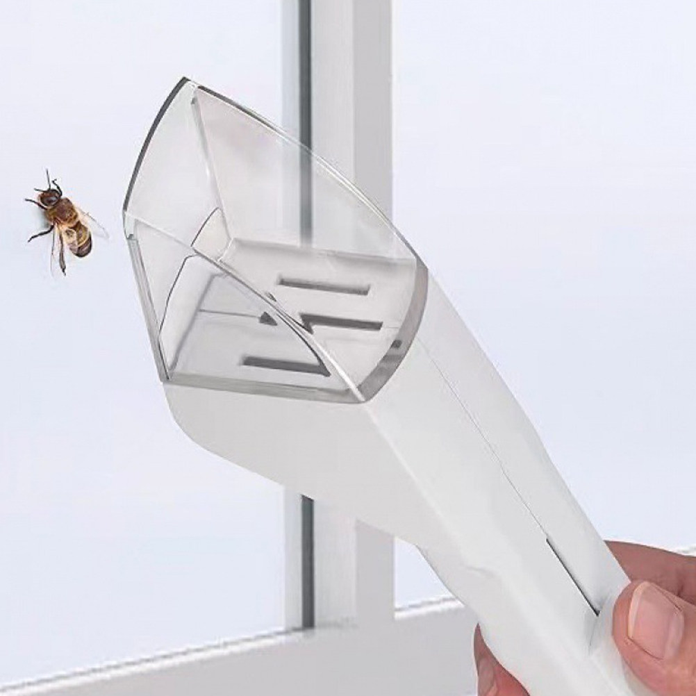 2Pcs Spider Catching Tool for  - Kids Outdoor Tools recensione e prezzo