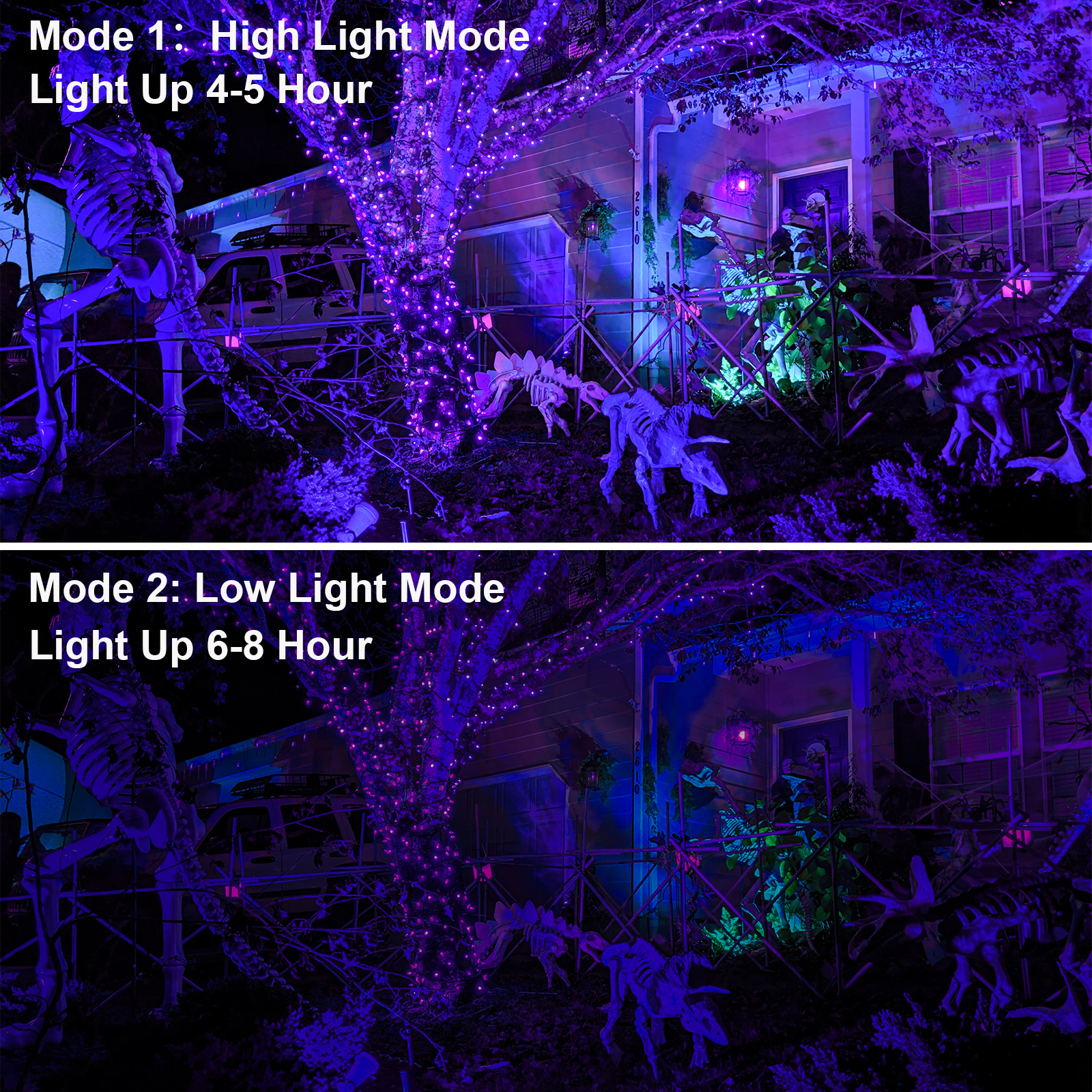 1/2pcs UV LED Black Light Ultr - Balance Beam Outdoor recensione e prezzo